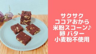 ココアおから米粉スコーンレシピ 卵なし バターなし