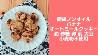 バナナ オートミールクッキー レシピ 砂糖なし 卵なし 油なし 小麦粉なし 簡単
